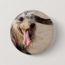 Search for sea dog badges Animal