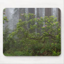 Search for del mousepads California