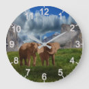 Search for elephant clocks Wildlife