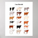 Search for breed posters Cute