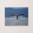 Search for whale puzzles Mammal