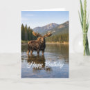 Search for moose birthday cards Forest