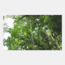 Search for rainforests stickers Nature