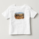 Search for erosion tshirts Rock