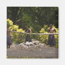 Search for polynesian magnets Viti levu