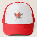 Search for robin hats Bird