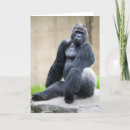 Search for apes cards Gorilla