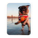 Search for plays magnets Dog