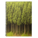 Search for evergreen notebooks Outdoors