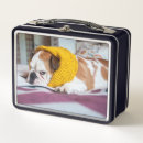 Search for bulldog lunch boxes Dogs