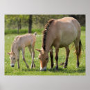 Search for mare art Farm