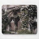Search for rose window electronics Roses