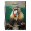 Search for ape notebooks Animal