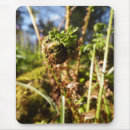 Search for ferns mousepads Plants
