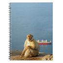 Search for ape notebooks Wildlife