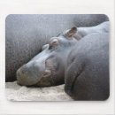 Search for nature mousemats mousepads Animals