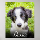 Search for home living Unique