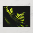 Search for sunlit postcards Nature