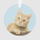 Search for ginger christmas tree decorations Pet