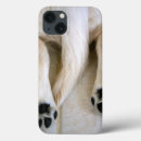 Search for butt electronics Puppy
