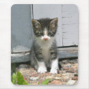 Search for fuzzy mousepads Feline