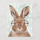 Search for hare cards invites Bunnies