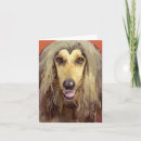 Search for afghan hound cards Animals
