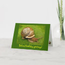 Search for snail birthday cards Animals