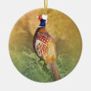 Search for pheasant christmas tree decorations Nature