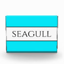 Search for seagull Summer