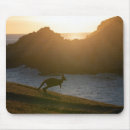 Search for beach at sunset mousepads Animal