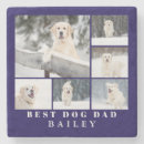Search for small dog coasters Photography