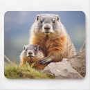 Search for enchantments mousepads Animal