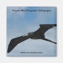 Search for galapagos magnets Nature