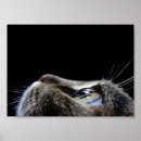 Search for profiling posters Pet