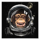 Search for moon face posters Stars