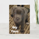 Search for birthday wish for husband Wife