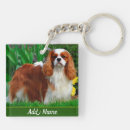 Search for purebred key rings Pet