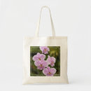 Search for phalaenopsis bags Flowers