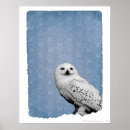 Search for hedwig posters Deathly hallows