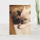 Search for speedy recovery cards Dog