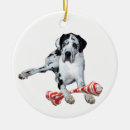 Search for great dane christmas tree decorations Harlequin