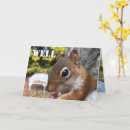 Search for cute squirrels cards Photograph
