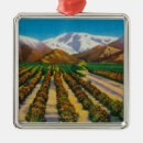 Search for baldy postcards States