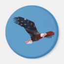Search for flying eagle magnets Patriotic