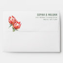 Search for protea Illustration