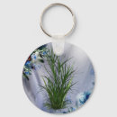 Search for creation key rings Nature