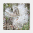 Search for seed magnets Nature