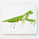 Search for odd mousepads Strange