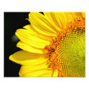 Search for api posters Apis mellifera